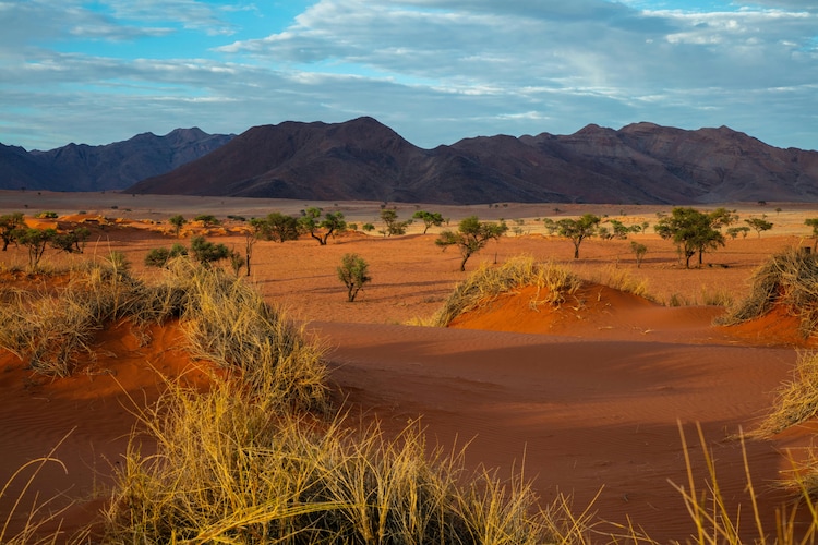 Where does sand sing like a musical instrument? 3 singing sand, sand that sings, singing sand dunes, singing sand, booming dunes, desert phenomenon, Atacama, Dunhuang, Namib desert