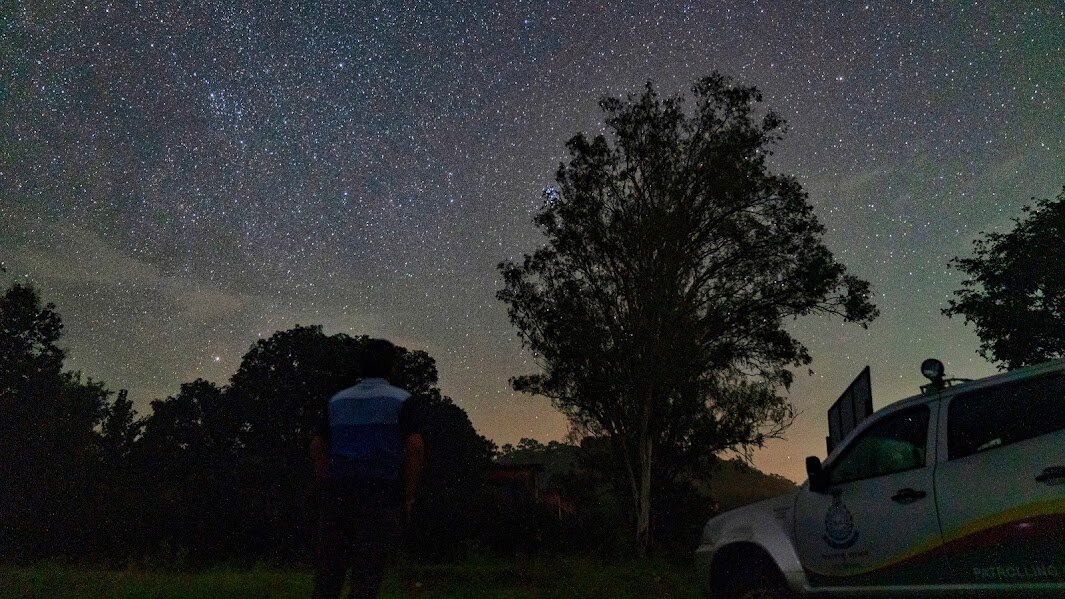 Tourists admire the starry night sky at Pench Tiger Reserve. (Photo: Special Arrangement/Pench Tiger Reserve)