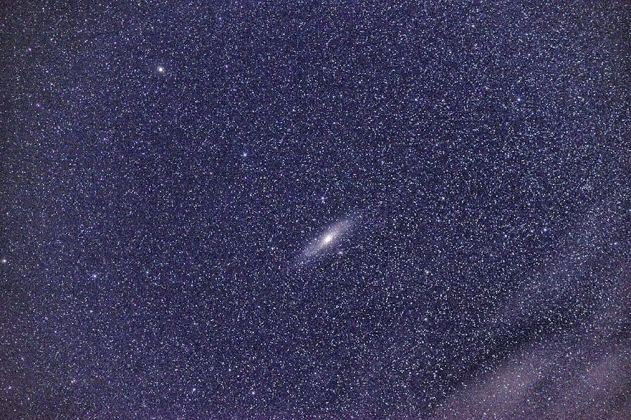 The Andromeda galaxy, 2.5 million light years away, is visible to the naked eye from Pench Tiger Reserve. This is a sight impossible from any Indian city. (Photo: Special arrangement/Pench Tiger Reserve)
