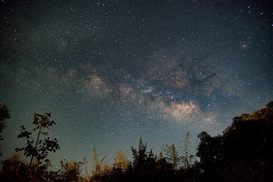 The galactic core of the Milky Way rises above the treeline at Pench Tiger Reserve, where stargazing safaris are capped at 30 visitors per night to protect the darkness. (Photo: Special arrangement/Pench Tiger Reserve)
