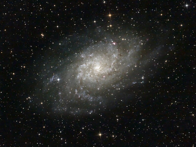 A distant galaxy photographed from Pench Tiger Reserve, the kind of celestial object completely invisible from light-polluted Indian cities. (Photo: Special arrangement/Pench Tiger Reserve)