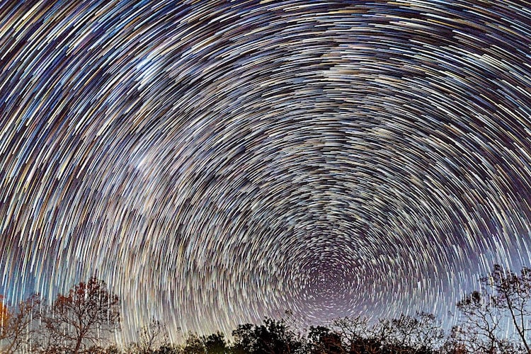A beautiful snapshot of star trails taken in Pench Tiger Reserve. (Photo: Abhishek Pawse)