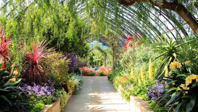 The Satpura Botanical Garden (Photo: maharashtratourism.gov.in)