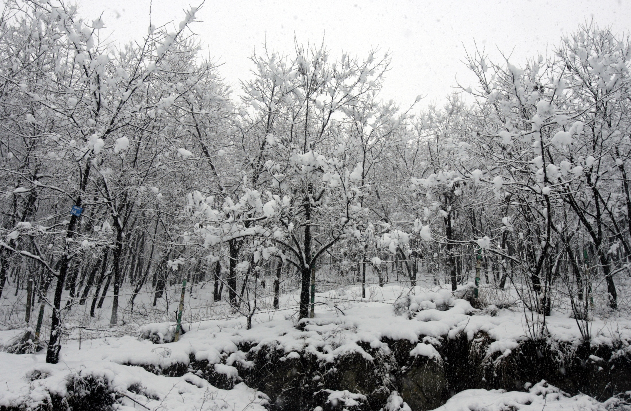The Hindu Kush Himalaya recorded its lowest winter snow in over two decades, with snow persistence falling 27.8 per cent below average. (Photo: Reuters)