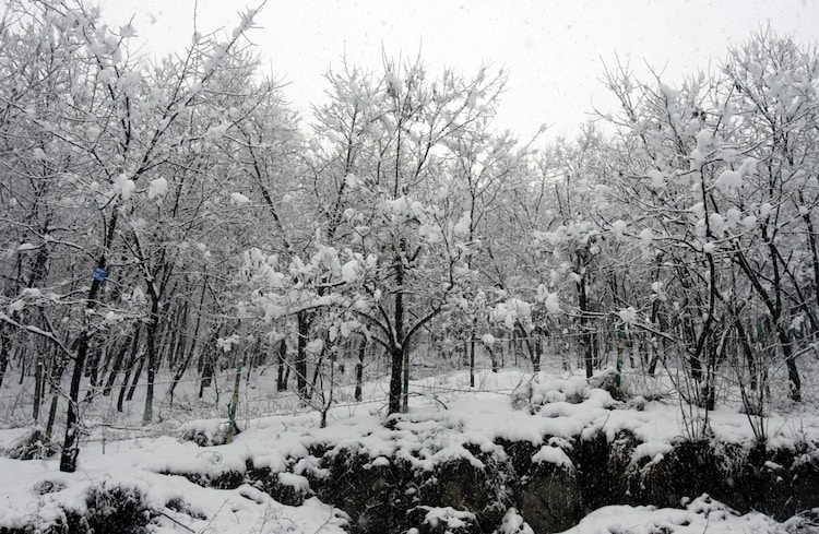 The Hindu Kush Himalaya recorded its lowest winter snow in over two decades, with snow persistence falling 27.8 per cent below average. (Photo: Reuters)