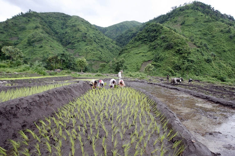 Satellite-based Land Use and Land Cover mapping reveals everything from forests to farmlands across India. (Photo: Reuters)