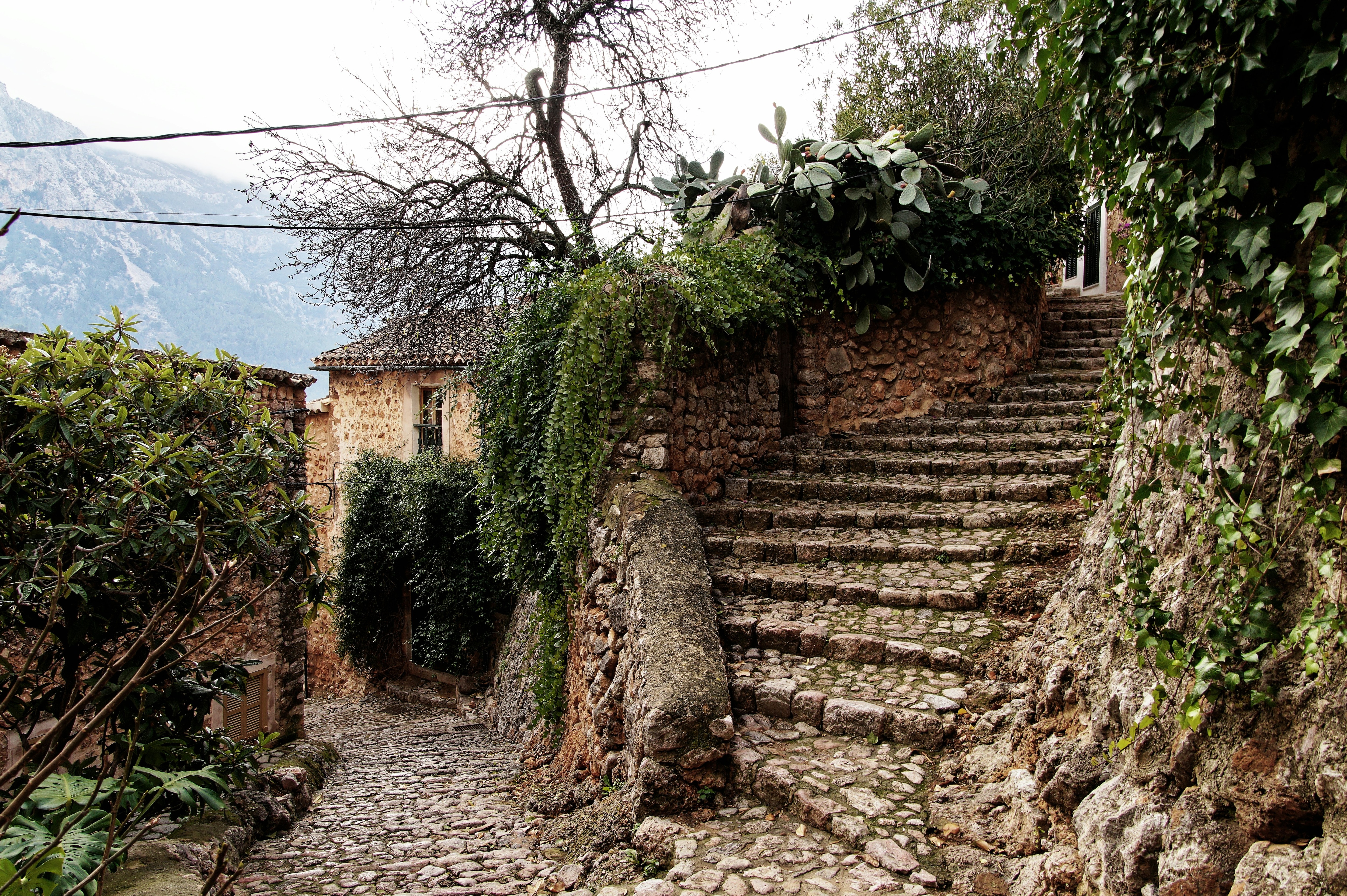 Free house and job in Spain village: Rules, eligibility and details - India  Today