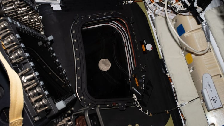 Artemis 2 will conclude their lunar observations at around 6:50 am IST. (Photo: Nasa)