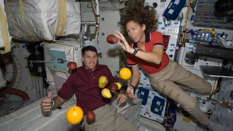Your brain does not forget gravity easily. Even after months in space, astronauts grip things too hard because the brain keeps expecting objects to fall. New research explains this fascinating quirk of human neuroscience. (Photo: Nasa)
