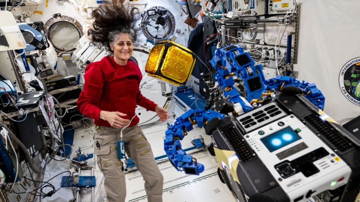 Astronauts often suffer from a condition called space cold, wherein their cheeks swell as a result of fluid shift in microgravity. This is an image of retired Nasa astronaut Sunita Williams, who was stuck for nine months in space when the Boeing Starliner mission failed to bring her back to Earth. (Photo: Nasa)