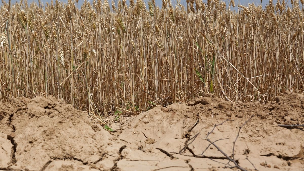 Yangtze River basin may suffer drought due to high temperatures. (Photo: Reuters)