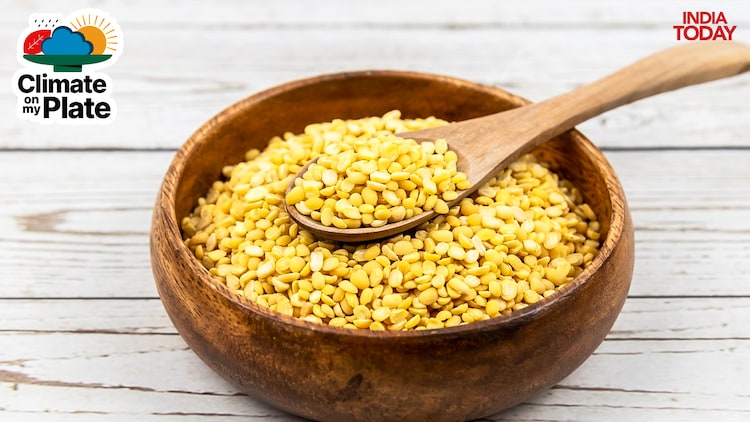 Once temperatures cross 32 degrees Celsius, toor dal's pollen grains lose viability and flowers fall before pods can form. (Photo: Getty)