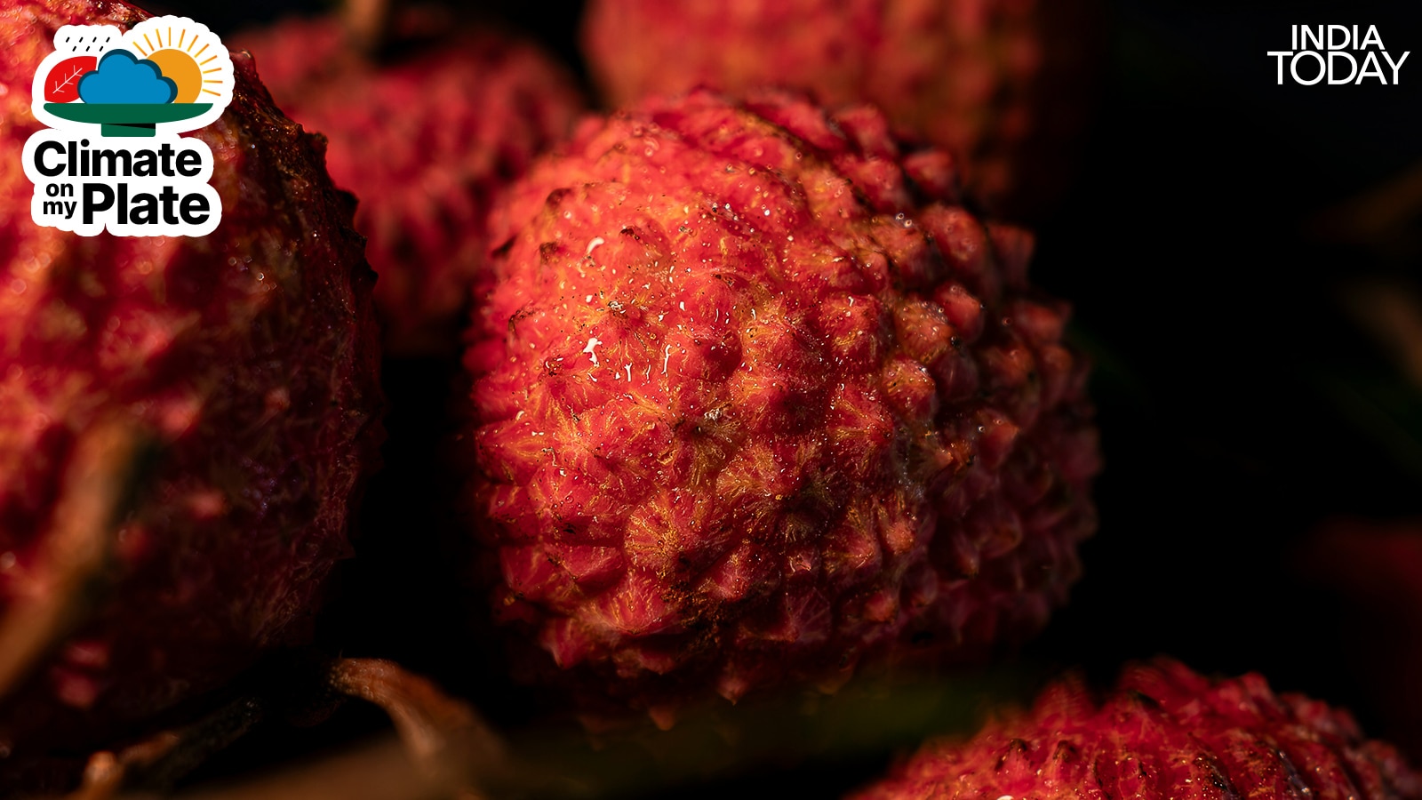Litchi requires a precise temperature window during April and May to develop properly. Temperatures above 38 degrees Celsius cause the fruit to blacken, dry, and drop before it matures. (Photo: Unsplash)  