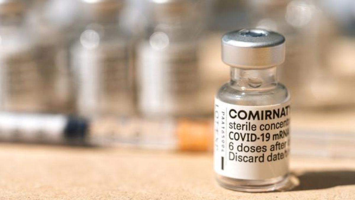 Germany's Paul-Ehrlich-Institut recorded around 2,133 deaths reported after Comirnaty vaccination. Sterz then multiplied that number by 30, arriving at an estimate of up to 60,000 deaths in Germany. (Photo: Paul-Ehrlich-Institut)
