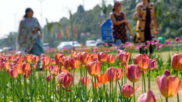 Bright sunshine over Delhi as the city prepares for 40 degree Celsius temperatures. (Photo: PTI)