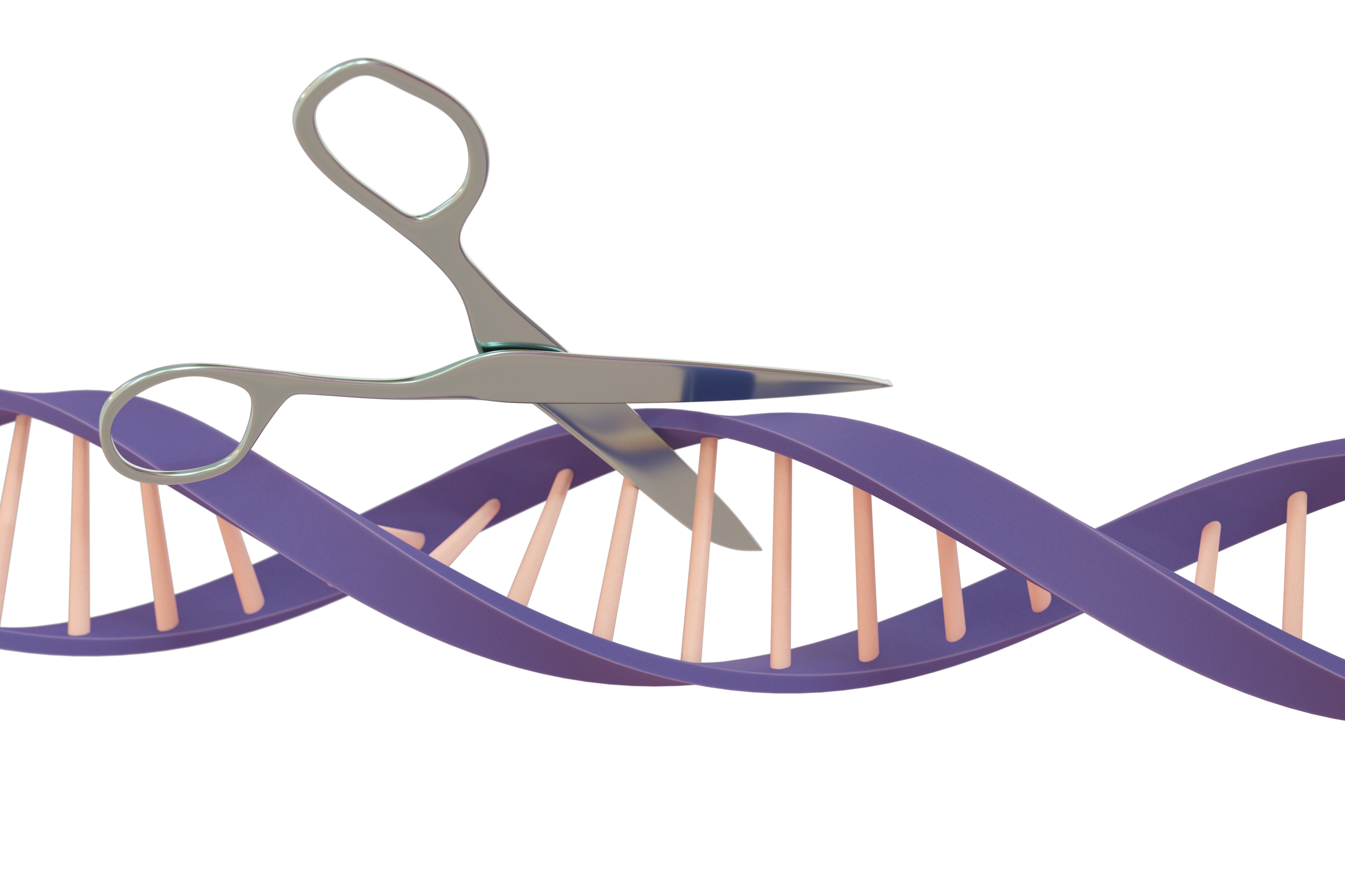 A conceptual illustration of the CRISPR gene-editing mechanism. The technology uses a specialised protein to locate and cut a precise error in a patient&acirc;€™s DNA, allowing the cell to repair itself using a corrected version. (Photo: Getty)