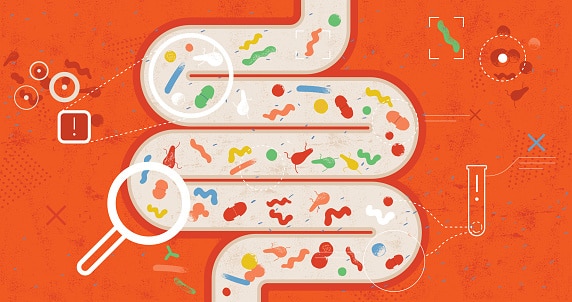 High temperatures create the perfect environment for bacteria and viruses to multiply rapidly, increasing the risk of gastrointestinal infections. (Photo: Getty Images)