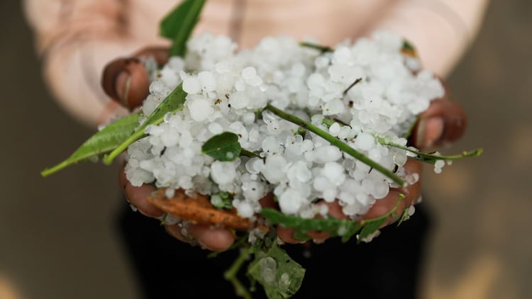 The incoming Western Disturbance carries a significant hail and lightning risk across Punjab, Haryana, Delhi NCR, and western Uttar Pradesh on April 7 and 8, with snowfall also expected at higher elevations in the hills. (Photo: Reuters)