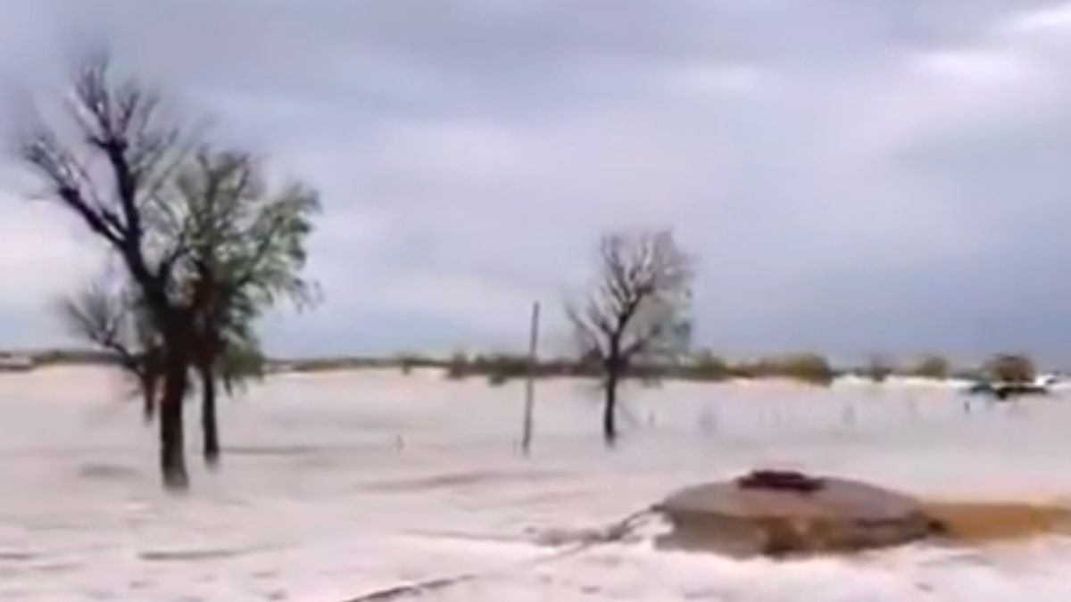 An expansive shot of the white blanket stretching across the horizon, highlighting the intensity of this rare weather event. (Photo: X/@ParveenKaswan)