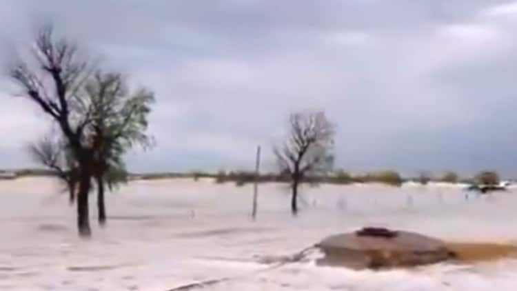 An expansive shot of the white blanket stretching across the horizon, highlighting the intensity of this rare weather event. (Photo: X/@ParveenKaswan)