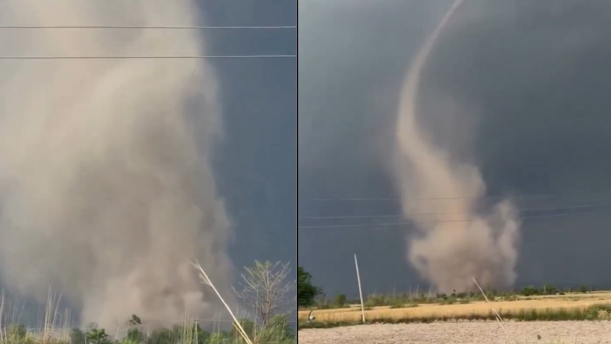 This phenomenon is called a landspout because the narrow, twisting column of the storm looks remarkably like the spout of a kettle. (Photo: X/@navdeepdahiya55)