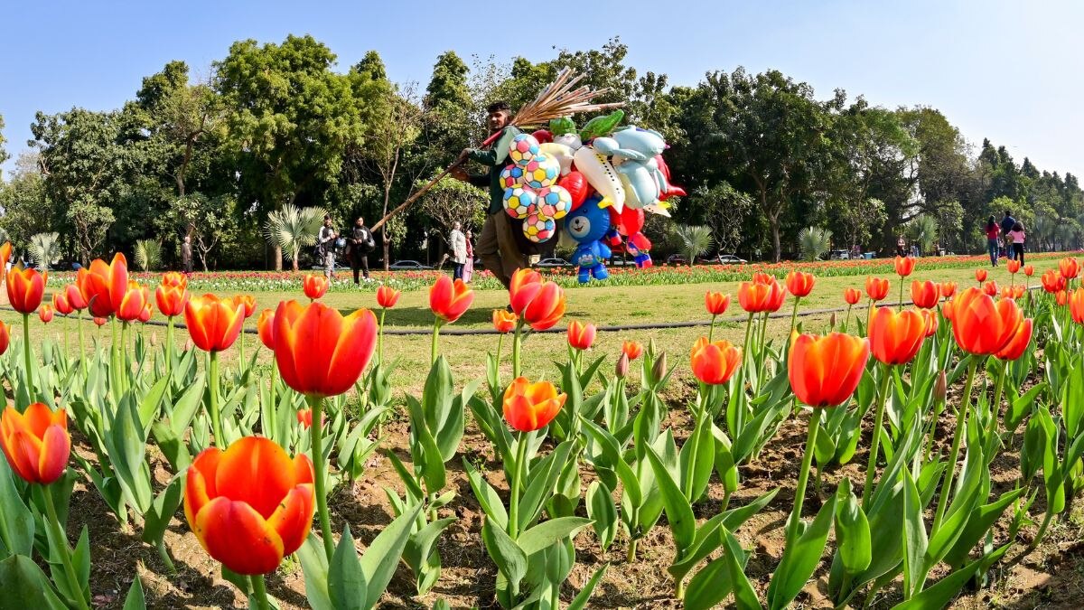 A massive weather shift begins this Saturday, April 11. India Meteorological Department predicts a 6 to 8 degrees Celsius jump in temperatures for Delhi as the Western Disturbance clears. (Photo: PTI)