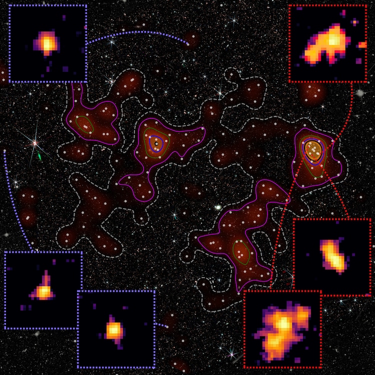 A striking composite image from the Hubble Space Telescope and JWST showing dense galaxy clusters within the newly found Loktak Protocluster. White dots show galaxies found by the Subaru Telescope, while the orange shading and coloured lines mark where they are most tightly packed. The small boxes compare galaxies in crowded cosmic cities against those in normal space. (Credit: Laishram et al./NAOJ/NASA/ESA/CSA)