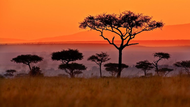 Africa