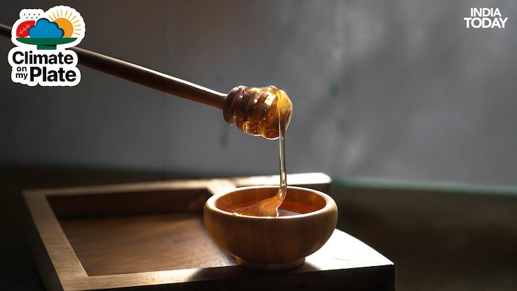 Honey with moisture above 20 per cent will ferment, and hotter, more humid foraging seasons are making it harder for bees to dehydrate nectar to safe storage levels inside the hive. (Photo: Unsplash)