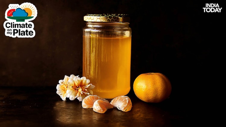 Kashmir honey, prized for its complexity, draws from a high-altitude wildflower mix whose composition is being altered by shifting snowmelt patterns and earlier spring warming. (Photo: Unsplash)