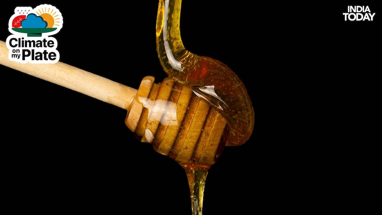 The microbial environment inside nectar, bacteria and yeasts that shape honey's aroma and chemistry, is itself being disrupted by extreme heat events, which replace beneficial microbes with heat-tolerant species. (Photo: Unsplash)