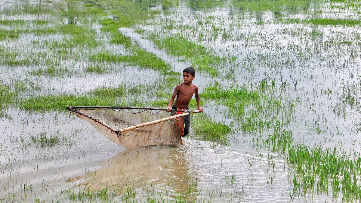India farm