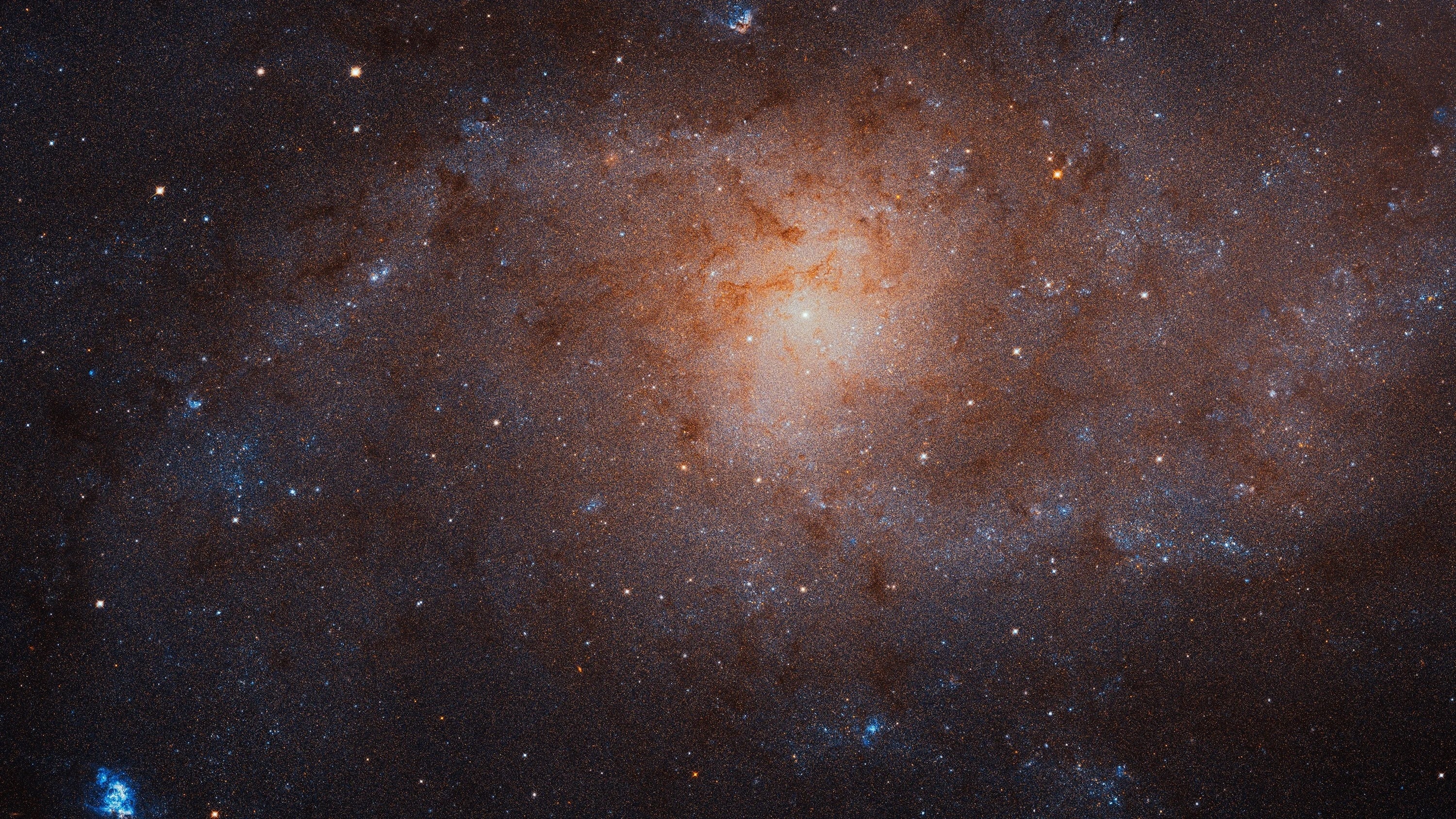 The Triangulum Galaxy is the third-largest member of the Local Group, the gravitationally bound cluster of approximately 50 galaxies that includes the Milky Way and the Andromeda Galaxy. (Photo: NASA)