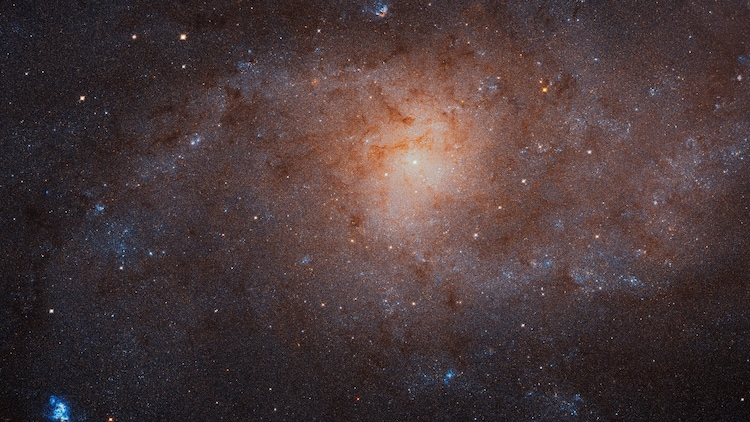 The Triangulum Galaxy is the third-largest member of the Local Group, the gravitationally bound cluster of approximately 50 galaxies that includes the Milky Way and the Andromeda Galaxy. (Photo: NASA)