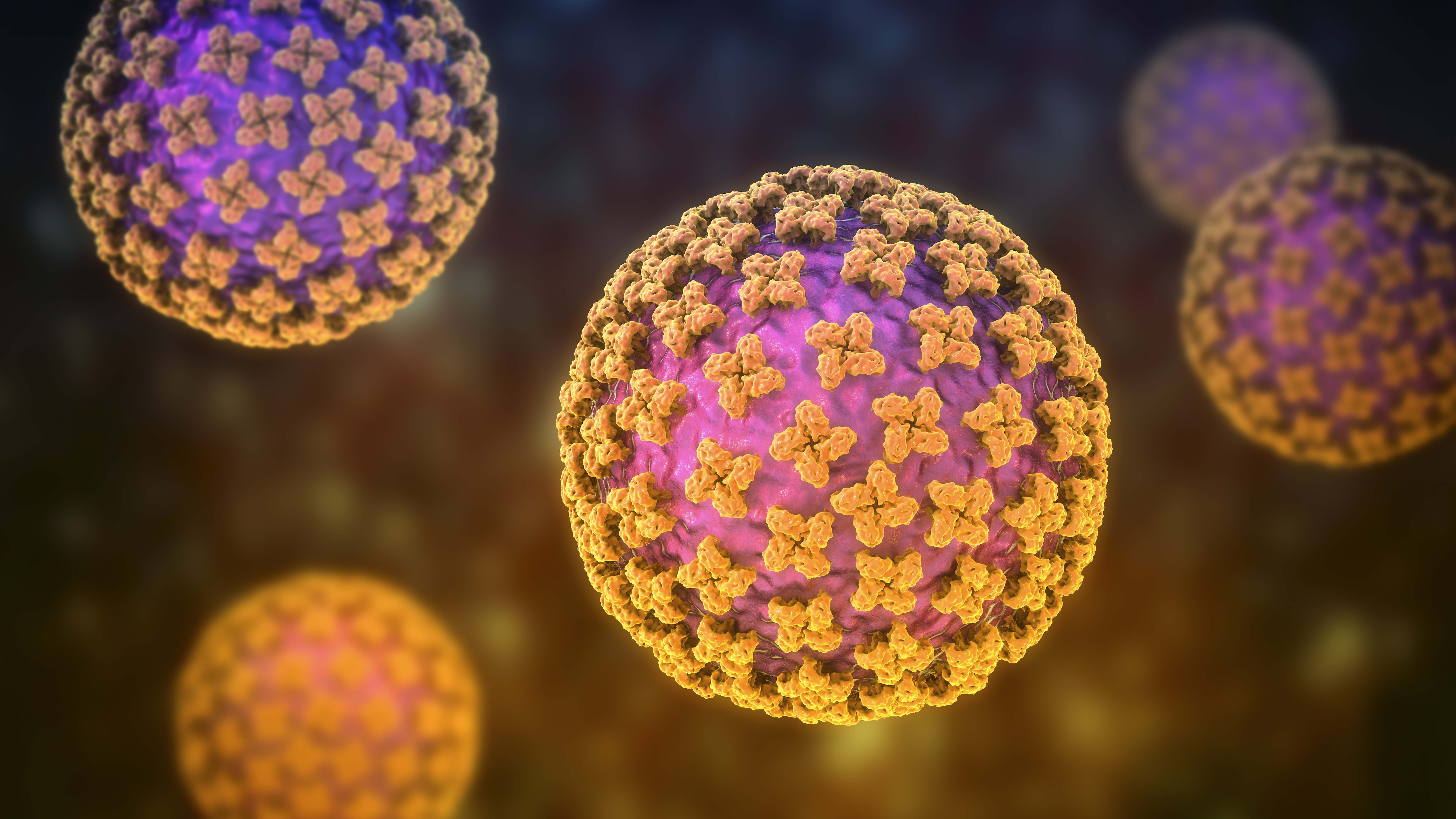 Although the virus affects blood vessels throughout the body, the lungs and kidneys often become the most severely affected organs. (Photo: Getty Images)