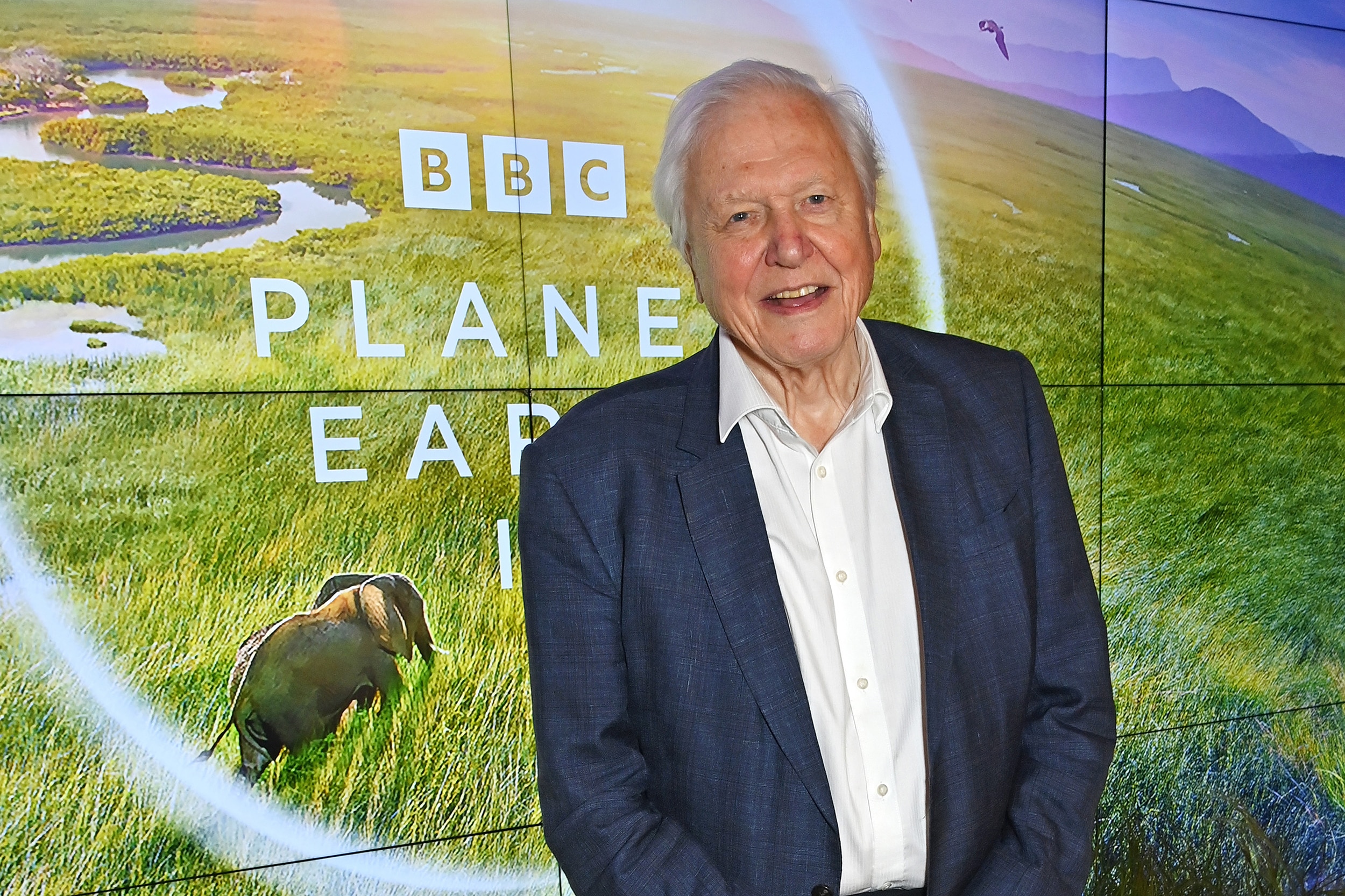 David Attenborough, David Attenborough turns 100, BBC, Planet Earth, Blue Planet, Life on Earth, climate change, wildlife documentaries, biography, natural history