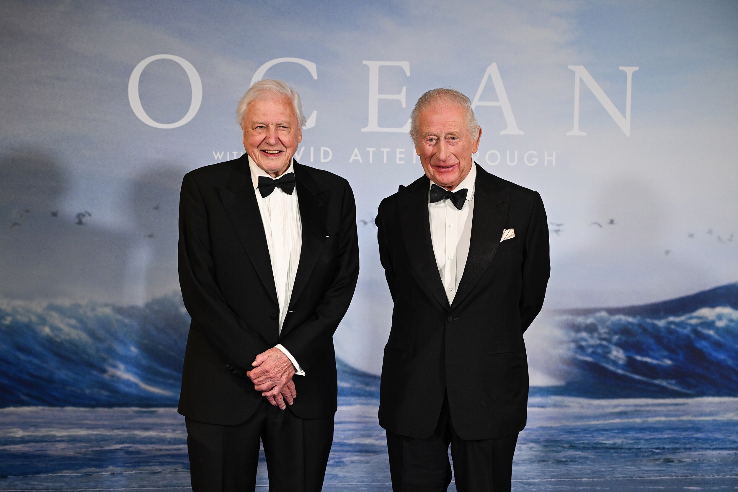 David Attenborough, David Attenborough turns 100, BBC, Planet Earth, Blue Planet, Life on Earth, climate change, wildlife documentaries, biography, natural history