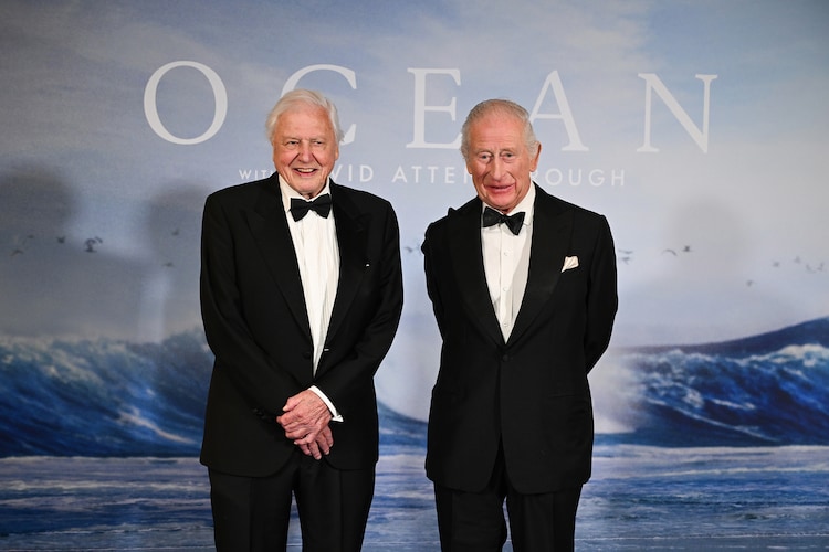 David Attenborough, David Attenborough turns 100, BBC, Planet Earth, Blue Planet, Life on Earth, climate change, wildlife documentaries, biography, natural history