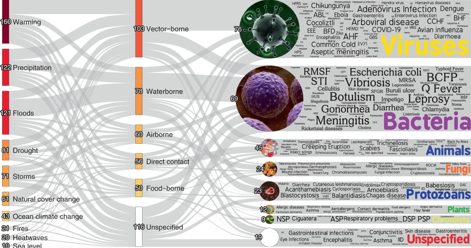 Climatic hazard pathways, which result in the aggravation of specific pathogenic diseases. (Nature Climate Change)