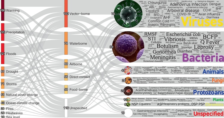 Climatic hazard pathways, which result in the aggravation of specific pathogenic diseases. (Nature Climate Change)