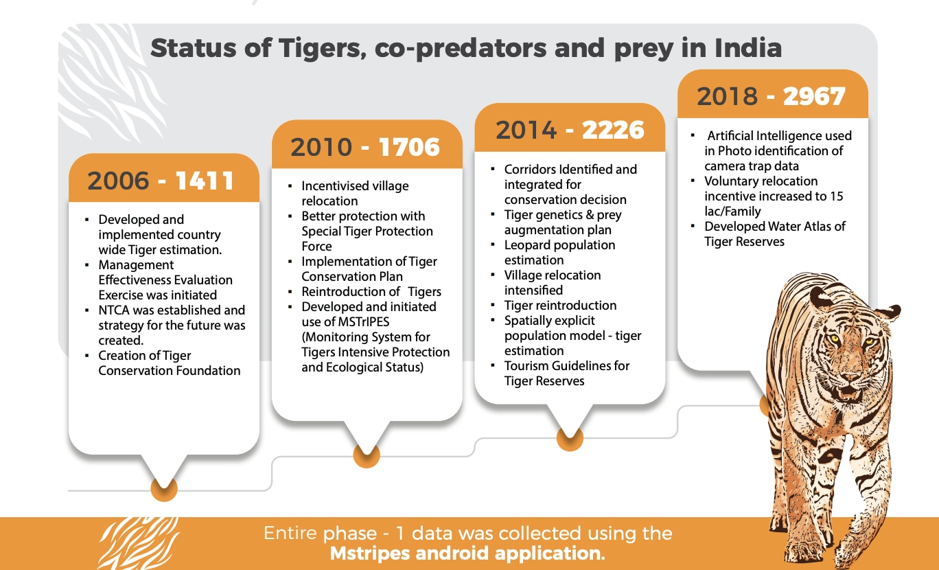 Project Tiger