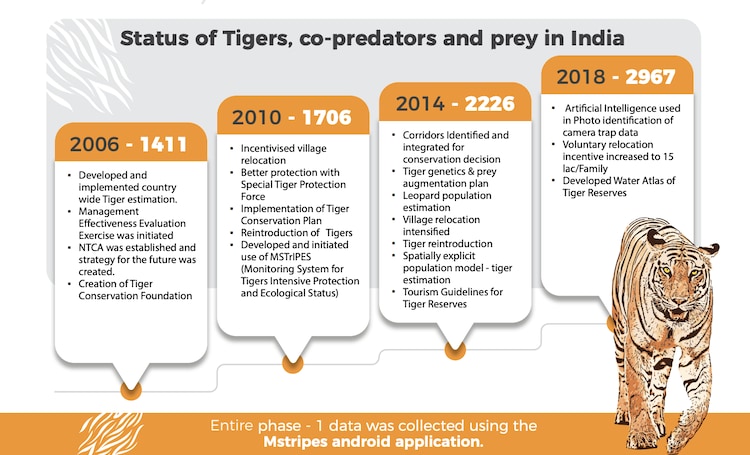 Project Tiger