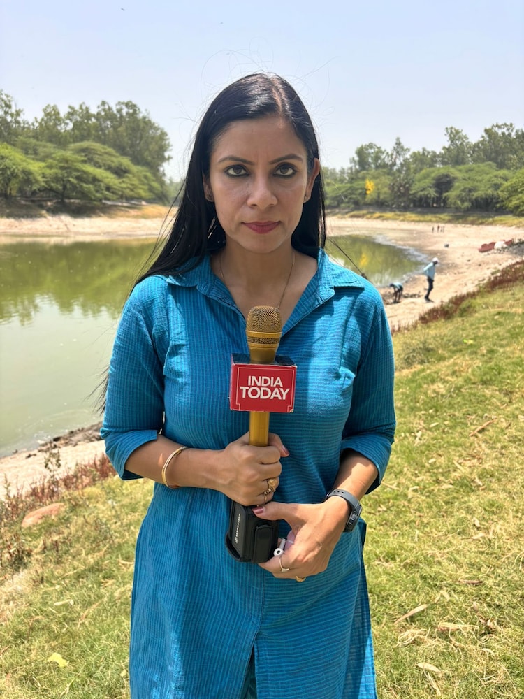 India Today reporter Shivani Sharma reporting from the banks of Sanjay Lake in East Delhi, where a prolonged heatwave has triggered a massive ecological crisis. (Photo: Shivani Sharma/India Today)