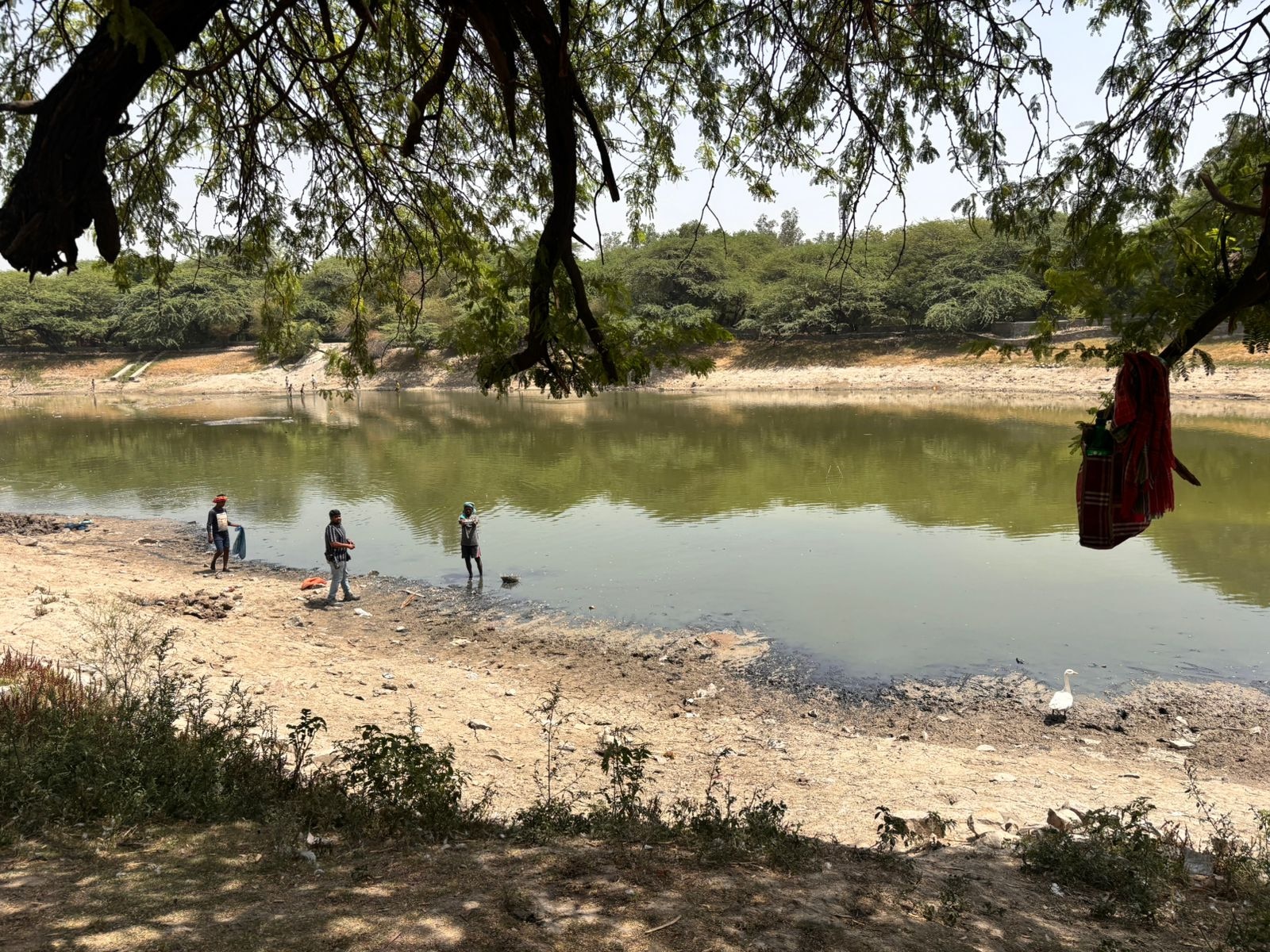 Local workers stand near the receding shoreline of Sanjay Lake as a critical delay in repairing infrastructure stops the flow of treated water. (Photo: Shivani Sharma/India Today)  