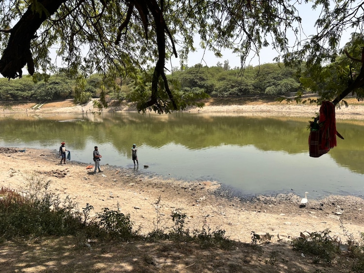 Local workers stand near the receding shoreline of Sanjay Lake as a critical delay in repairing infrastructure stops the flow of treated water. (Photo: Shivani Sharma/India Today)