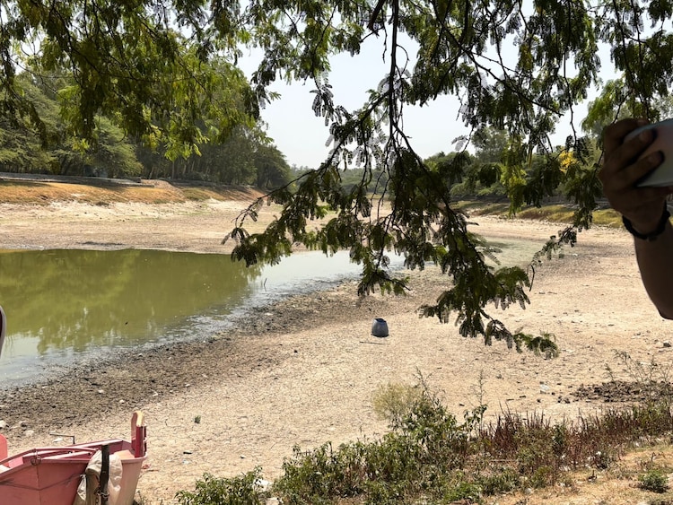 A wide view of the severely shrunken 52-acre water body, where stranded boats and exposed lakebeds highlight the impact of rising temperatures on urban ecosystems. (Photo: Radifah Kabir/India Today)
