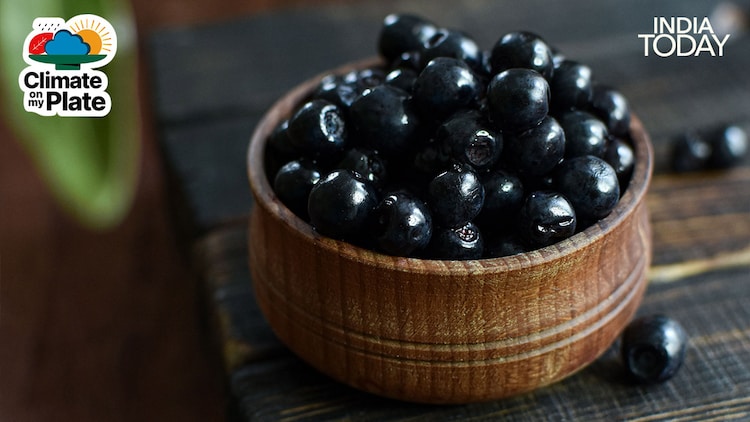 A close-up of ripe jamun fruits, their deep purple skin glistening. The colour comes from anthocyanins, powerful antioxidant pigments that give jamun its health properties and have made it a subject of growing scientific interest. (Photo: Unsplash/Pexels)