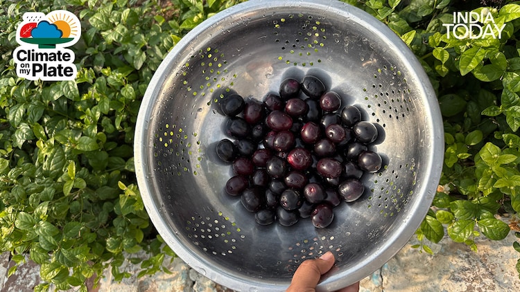 Jamun is rich in anthocyanins. (Photo: Unsplash/Pexels)