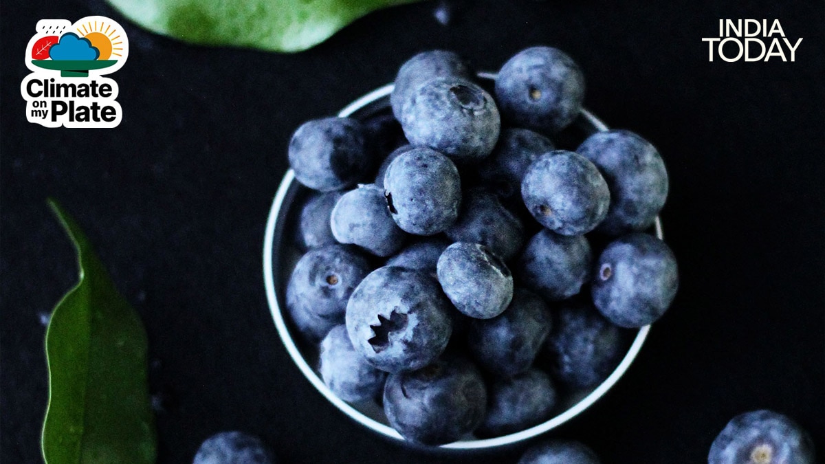 Jamun is highly perishable and ferments quickly after picking, which is why it is typically sold and consumed within days of harvest rather than stored. (Photo: Unsplash/Pexels)