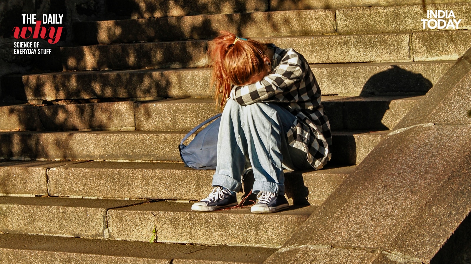Grief is not just an emotion. It is a measurable neurological event. When we lose someone we love, the brain's reward circuits, amygdala, and prefrontal cortex all undergo significant changes, leaving people foggy, anxious, and in what feels very much like physical pain. (Photo: Unsplash/Pexels)